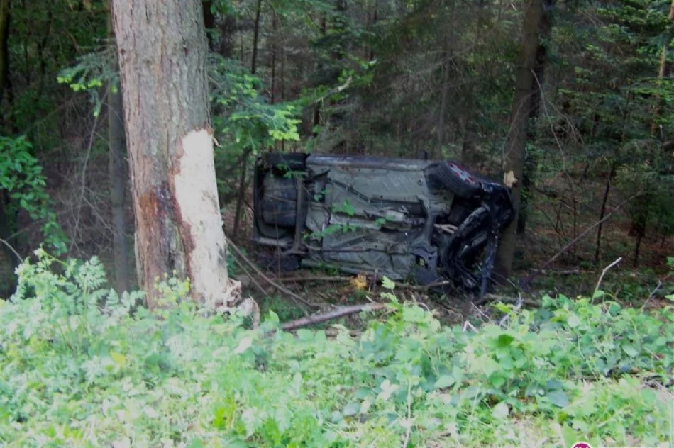Pijany uderzył w drzewo i dachował - zdjęcie 2