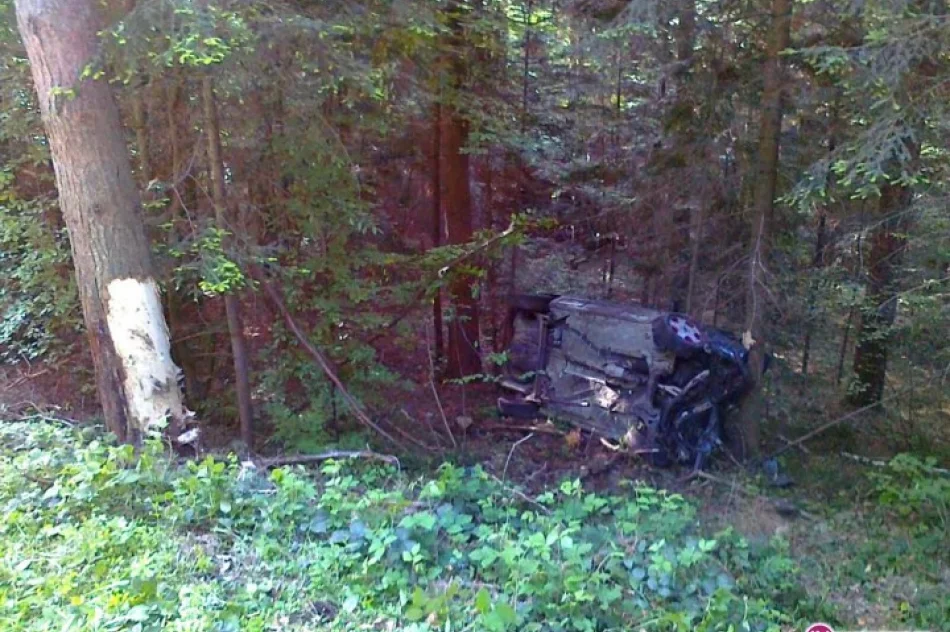 Pijany uderzył w drzewo i dachował - zdjęcie 4