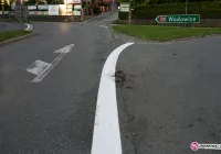 Martwy kot nie był przeszkodą - zdjęcie główne