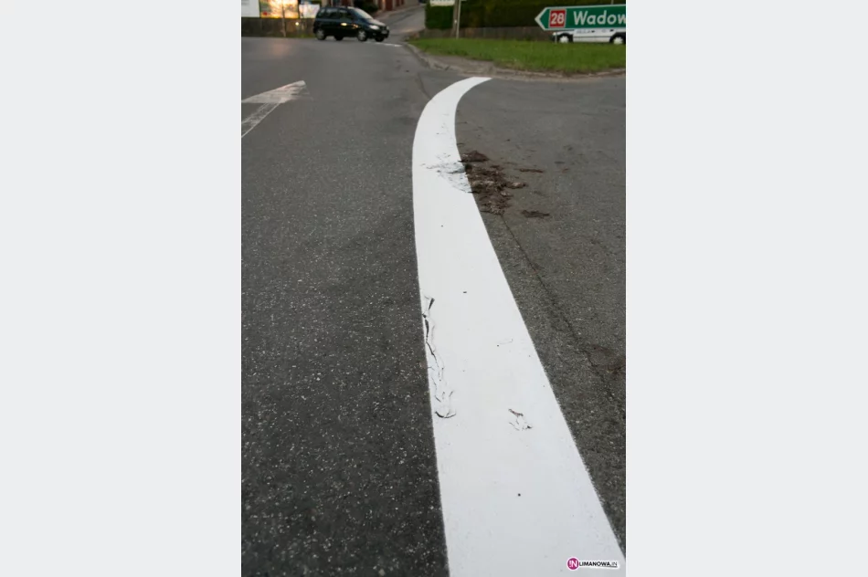 Martwy kot nie był przeszkodą - zdjęcie 2