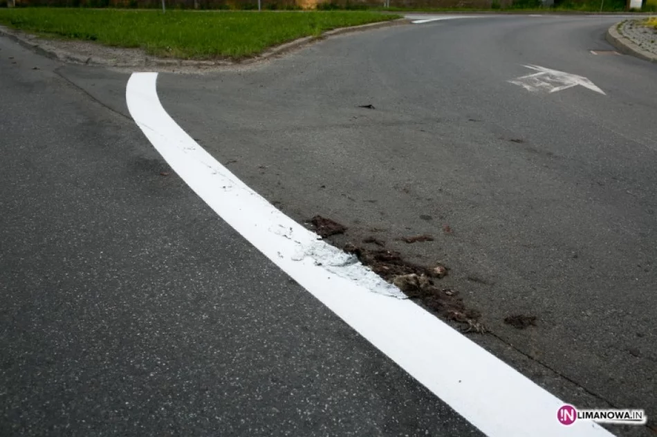 Martwy kot nie był przeszkodą - zdjęcie 3