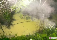 Czekają na wyniki ekspertyzy serwatki - zdjęcie główne