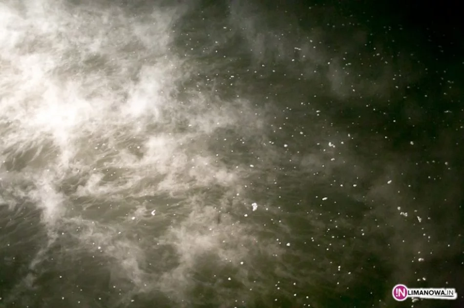 Czekają na wyniki ekspertyzy serwatki - zdjęcie 2