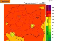 Ozon przekroczy poziom dopuszczalny - zdjęcie główne
