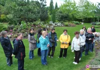 Święto Kwitnących Azalii - zdjęcie główne