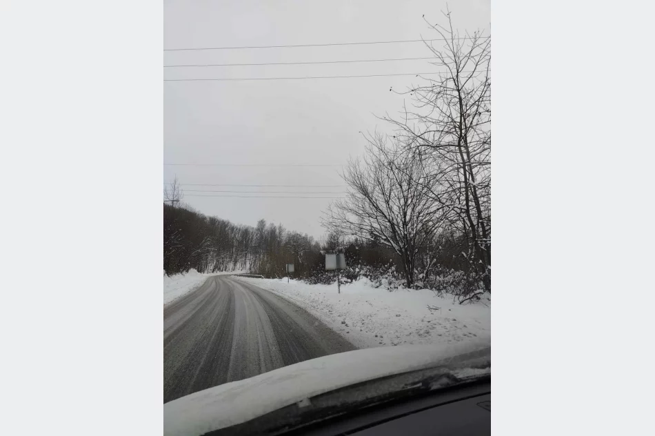 Nieodpowiedzialny akt wandalizmu - zdjęcie 4