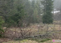 Uwaga na przymrozki - zdjęcie główne