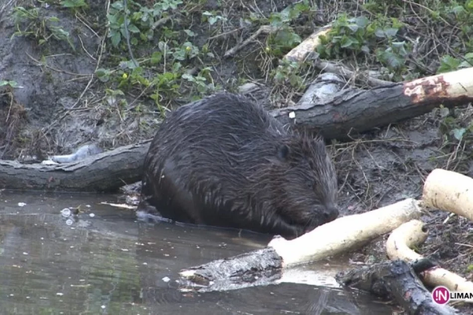 O Beskidach w  Muzeum Sportu i Alpinizmu - zdjęcie 2