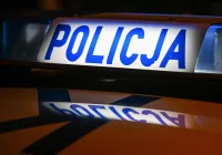 Kierowca Alfy Romeo uciekł z miejsca zdarzenia - zdjęcie główne