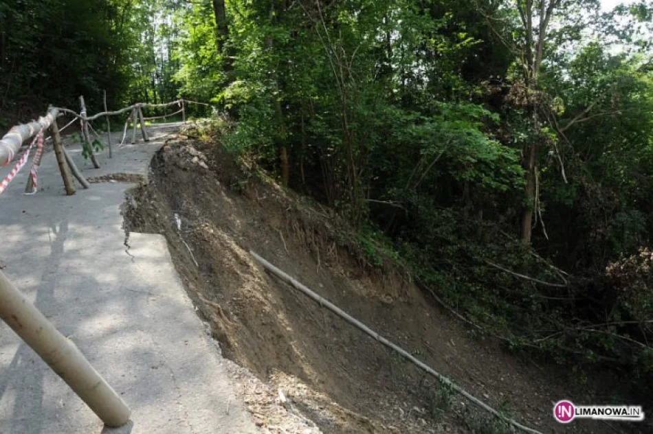 Przetargi rozstrzygnięte. Dużo chętnych - zdjęcie 3