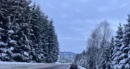 Fotointerwencja: Oszczędności po limanowsku - zdjęcie 2