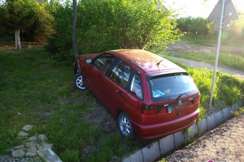 Kolizja w Pisarzowej - zdjęcie 2