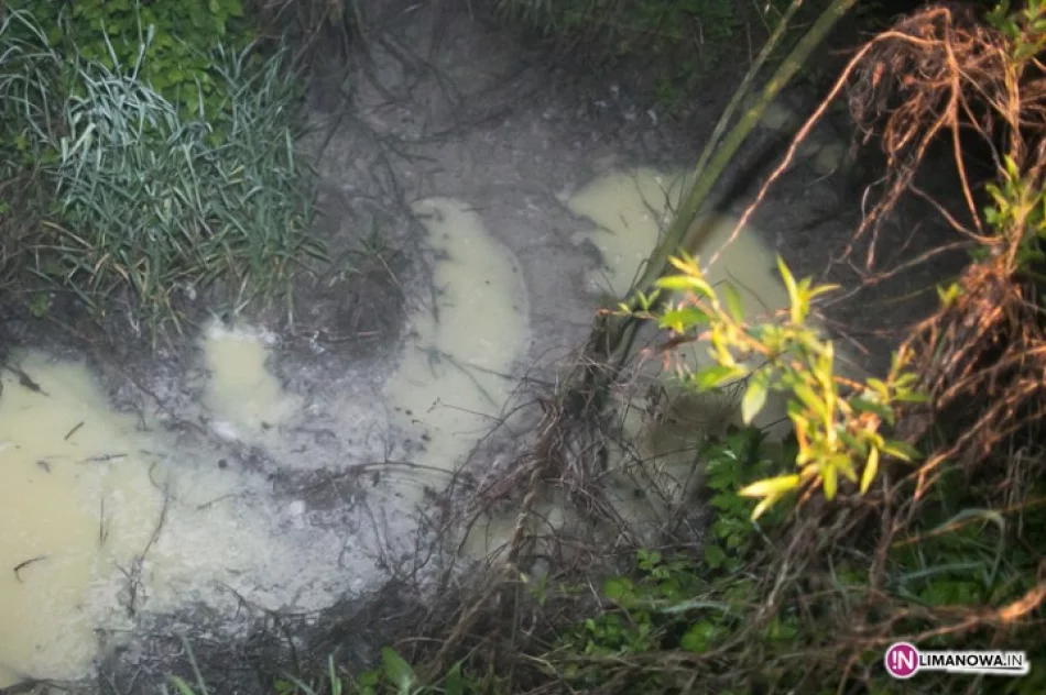 Zrzucają serwatkę nad rzeką? - zdjęcie 4