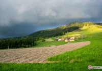 Dokąd ten nowy szlak zmian prowadzi…? - zdjęcie główne