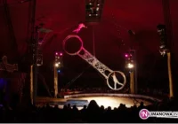 Największy cyrk dziś w Limanowej - zdjęcie główne