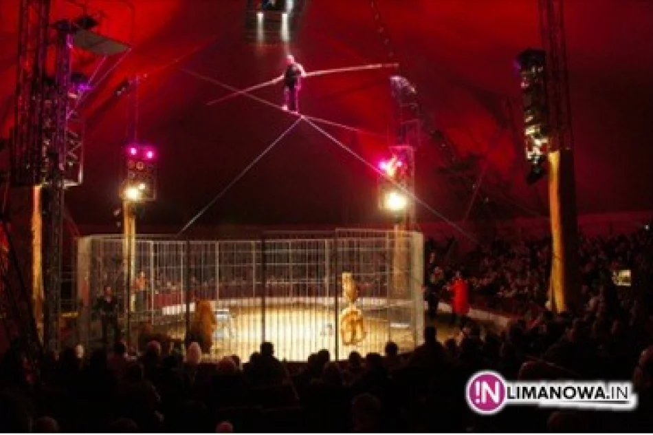 Największy cyrk dziś w Limanowej - zdjęcie 4