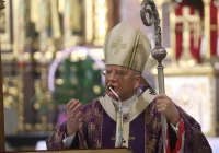 Abp Jędraszewski o in vitro: "człowiek nie jest produktem" - zdjęcie główne