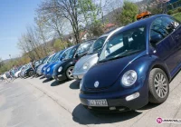 Udany zlot VW New Beetle - zdjęcie główne