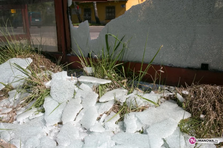 Rozbili szyby przystanku - zdjęcie 2