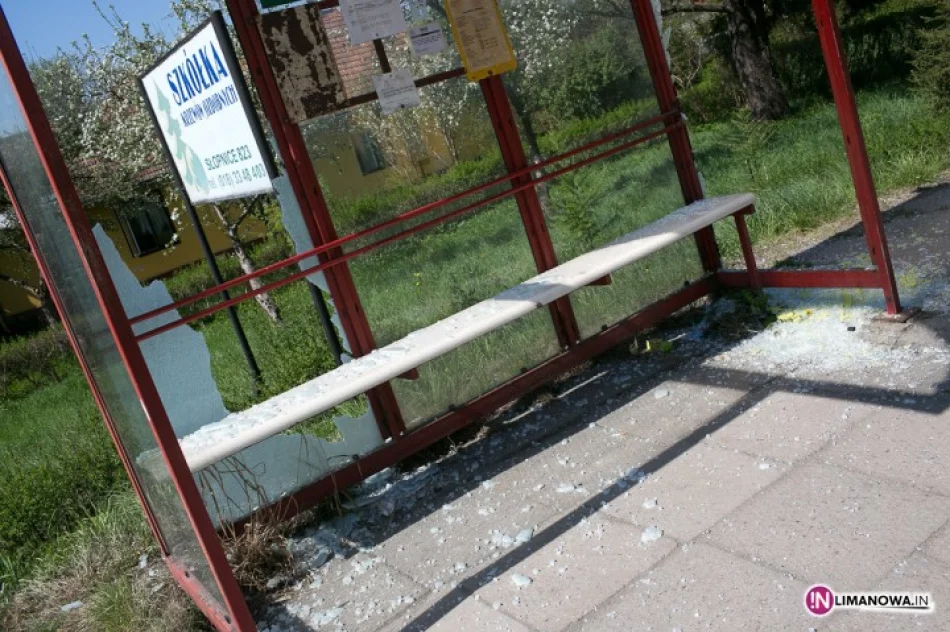 Rozbili szyby przystanku - zdjęcie 3