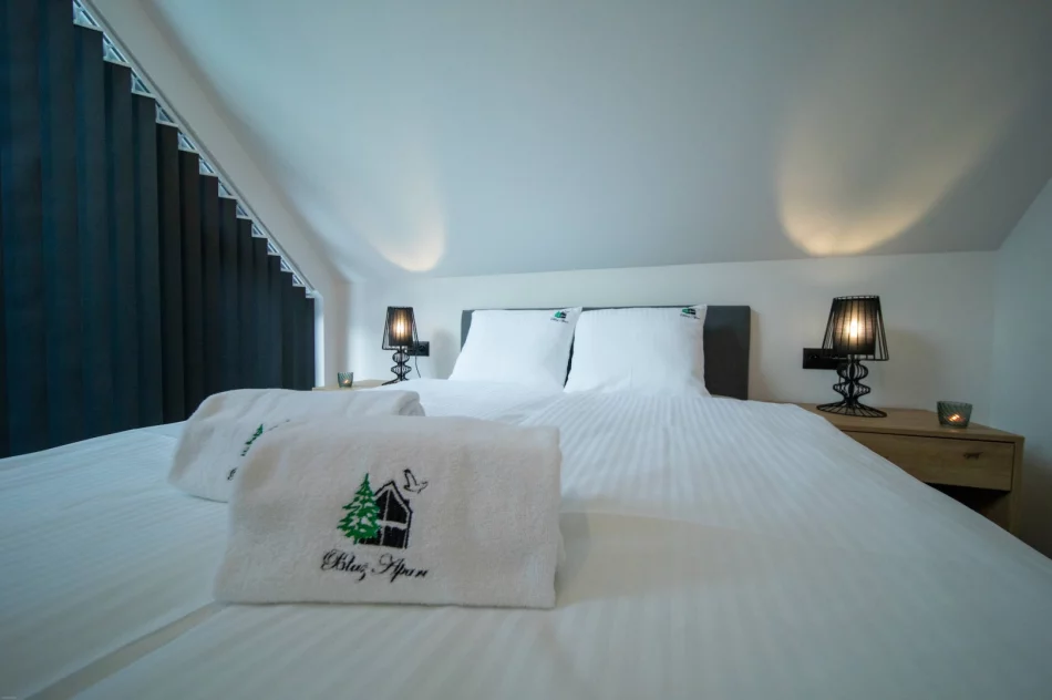 Błaż Apart apartament do wynajęcia WOLNE TERMINY- FERIE ZIMOWE! - zdjęcie 5