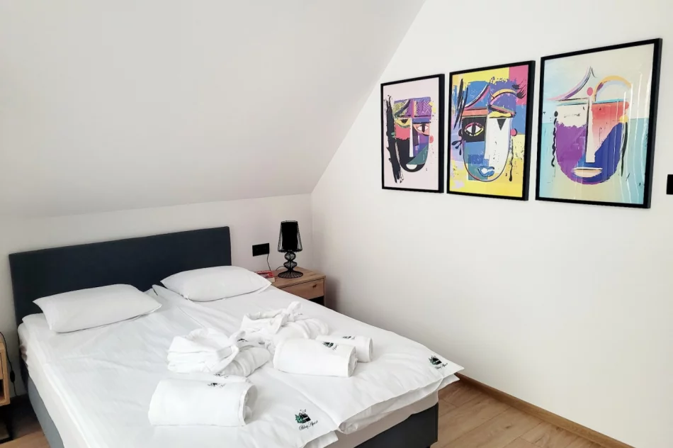 Błaż Apart apartament do wynajęcia WOLNE TERMINY- FERIE ZIMOWE! - zdjęcie 11