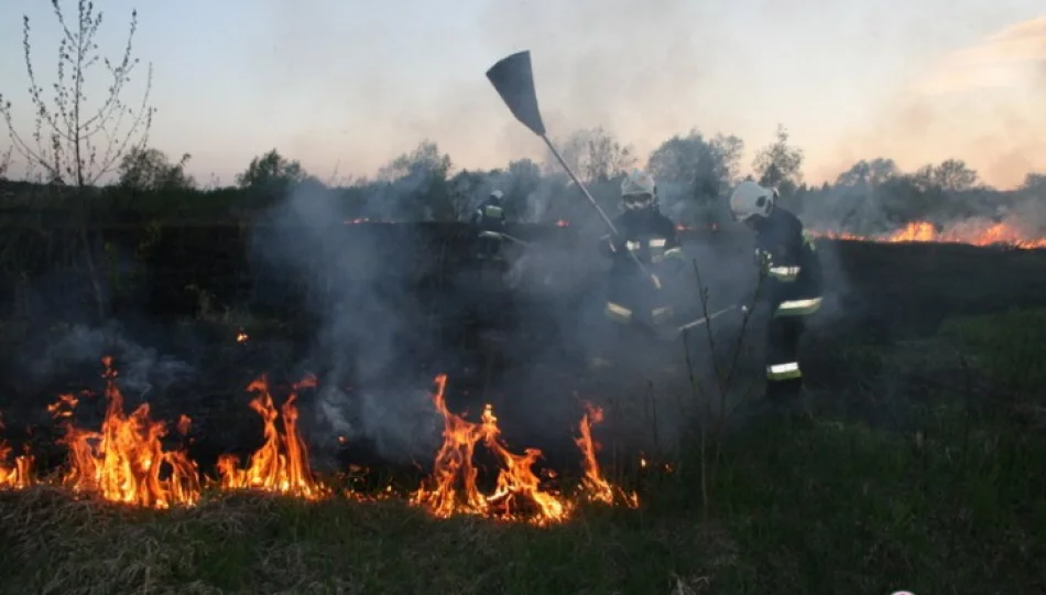 Kolejny pożar traw w Bieczu - zdjęcie 1