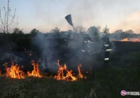 Kolejny pożar traw w Bieczu - zdjęcie główne