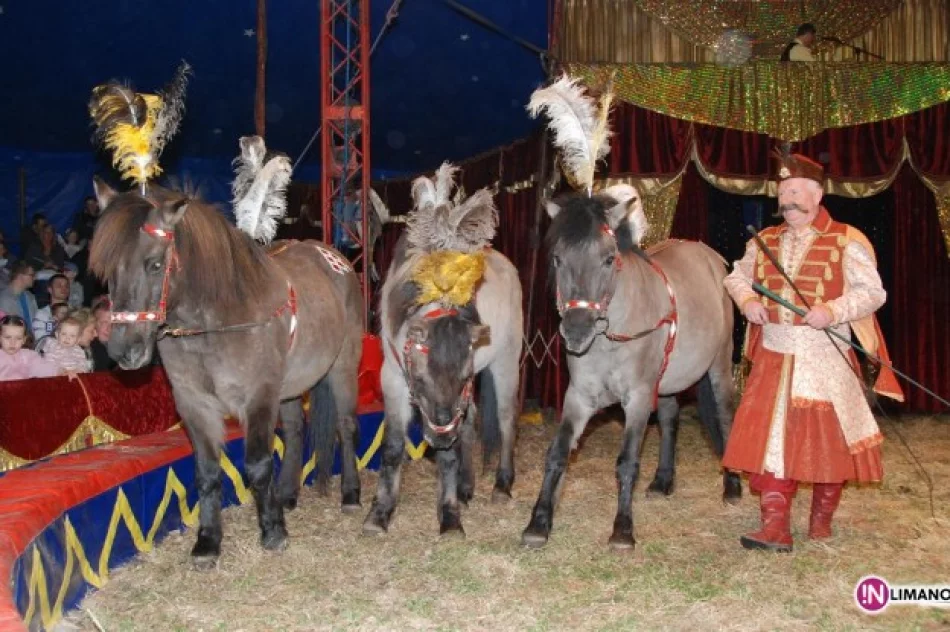 Magiczny świat w Mszanie Dolnej i Limanowej - zdjęcie 4