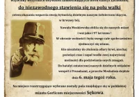 Piknik Historyczny w Sękowej (TV) - zdjęcie główne