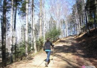 Długi weekend, czyli wycieczki po Gorcach - zdjęcie główne