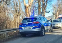 Ciężki stan mężczyzny. Wypadek podczas przycinania drzew - zdjęcie główne