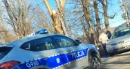 Ciężki stan mężczyzny. Wypadek podczas przycinania drzew - zdjęcie 2