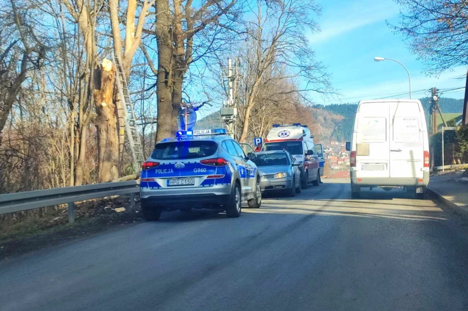 Ciężki stan mężczyzny. Wypadek podczas przycinania drzew - zdjęcie 3