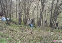 Sprzątali świat i znaleźli psy w reklamówkach - zdjęcie główne