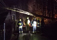 10 interwencji w powiecie przez silny wiatr - zdjęcie główne