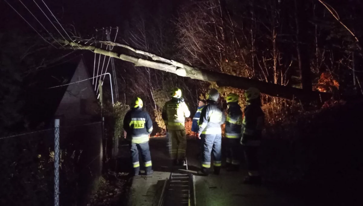 10 interwencji w powiecie przez silny wiatr