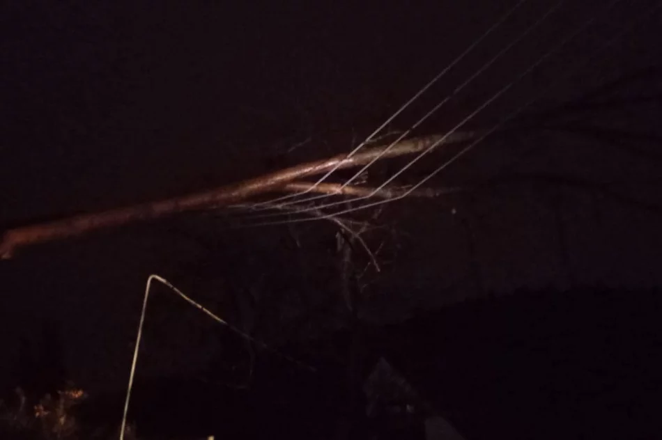 10 interwencji w powiecie przez silny wiatr - zdjęcie 3