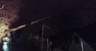10 interwencji w powiecie przez silny wiatr - zdjęcie 5