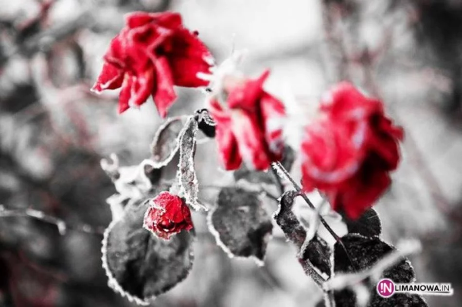 Malowanie i śpiewanie - zdjęcie 3