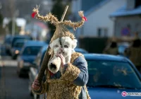 Śmiguśnioki przyszli pomimo mrozu - zdjęcie główne