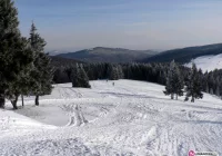 Wpadła do jaru... zjeżdżając na dętce - zdjęcie główne