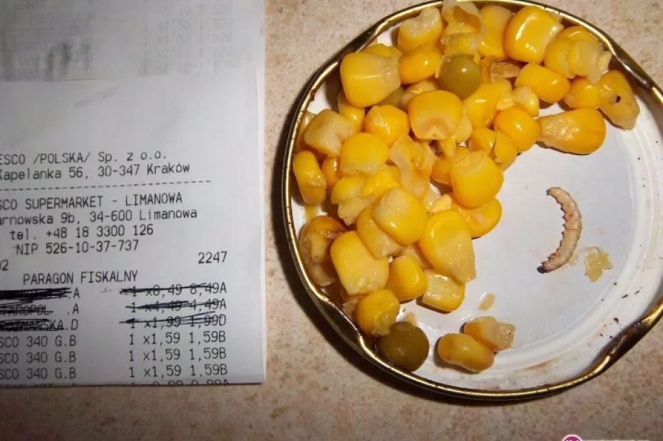 'Niespodzianka' w kukurydzy - zdjęcie 2