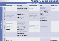 Strategiczne propozycje dla rozwoju powiatu - zdjęcie główne