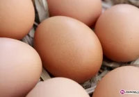 Protest radnego: 'Jaja z Wielkanocy' - zdjęcie główne