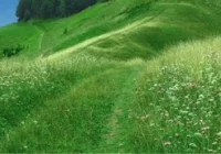 Powstała Gorczańska Organizacja Turystyczna - zdjęcie główne