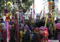 Konkursy palm – wyniki - zdjęcie główne