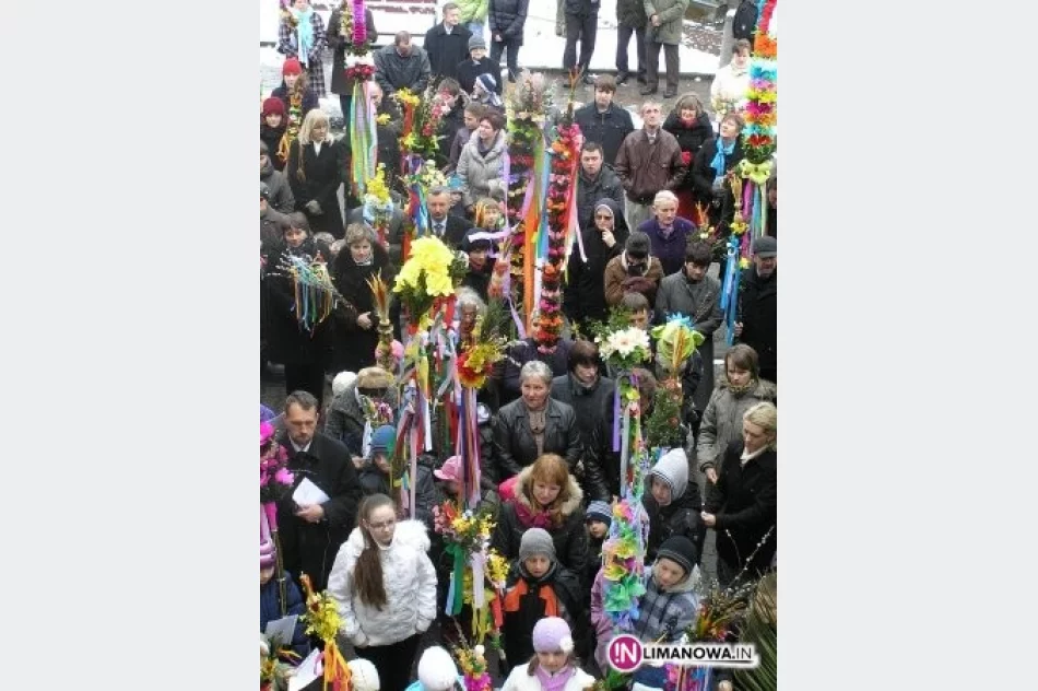 Konkursy palm – wyniki - zdjęcie 2