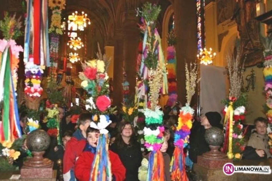 Konkursy palm – wyniki - zdjęcie 4