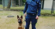 Sad - nowy czworonożny funkcjonariusz nowosądeckiej policji  - zdjęcie 3